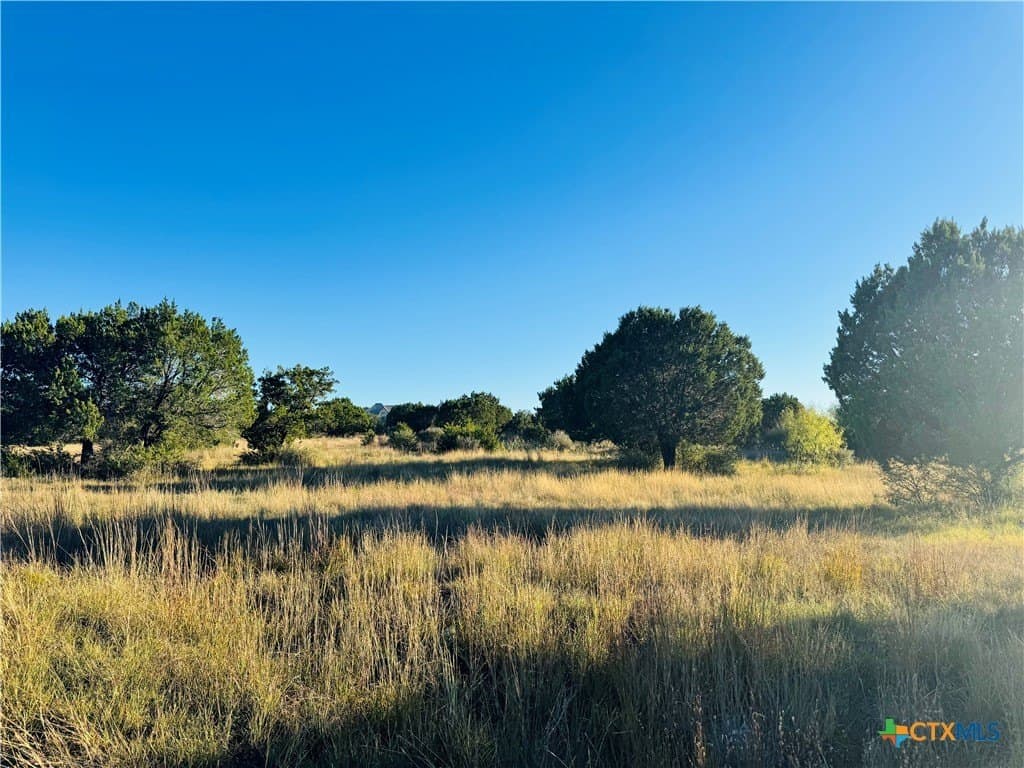 0.29 acres in Llano County - photo 9
