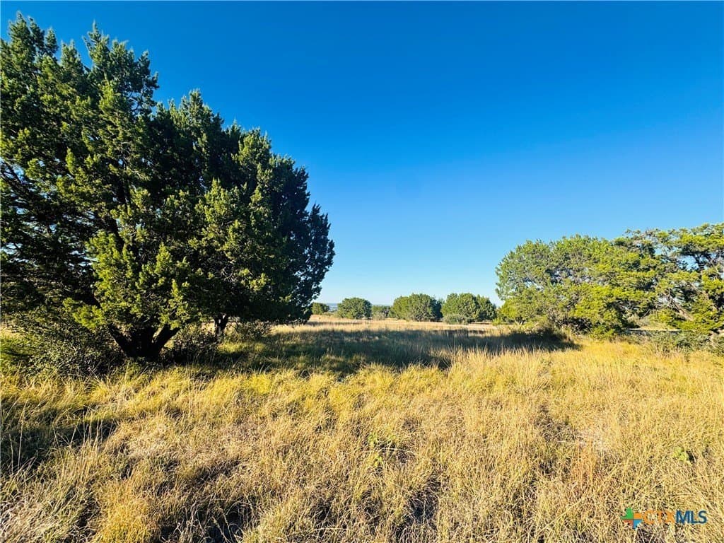 0.29 acres in Llano County - photo 3