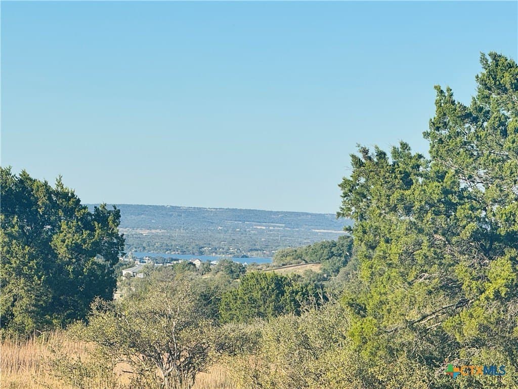 0.29 acres in Llano County - photo 8