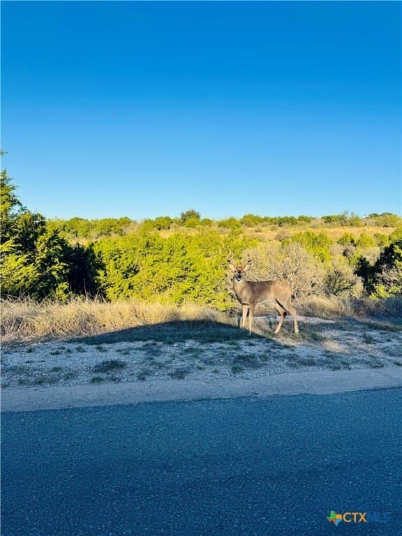 0.29 acres in Llano County - photo 11