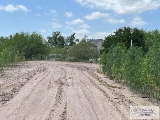 43.17 acres in CAMERON County - photo 5