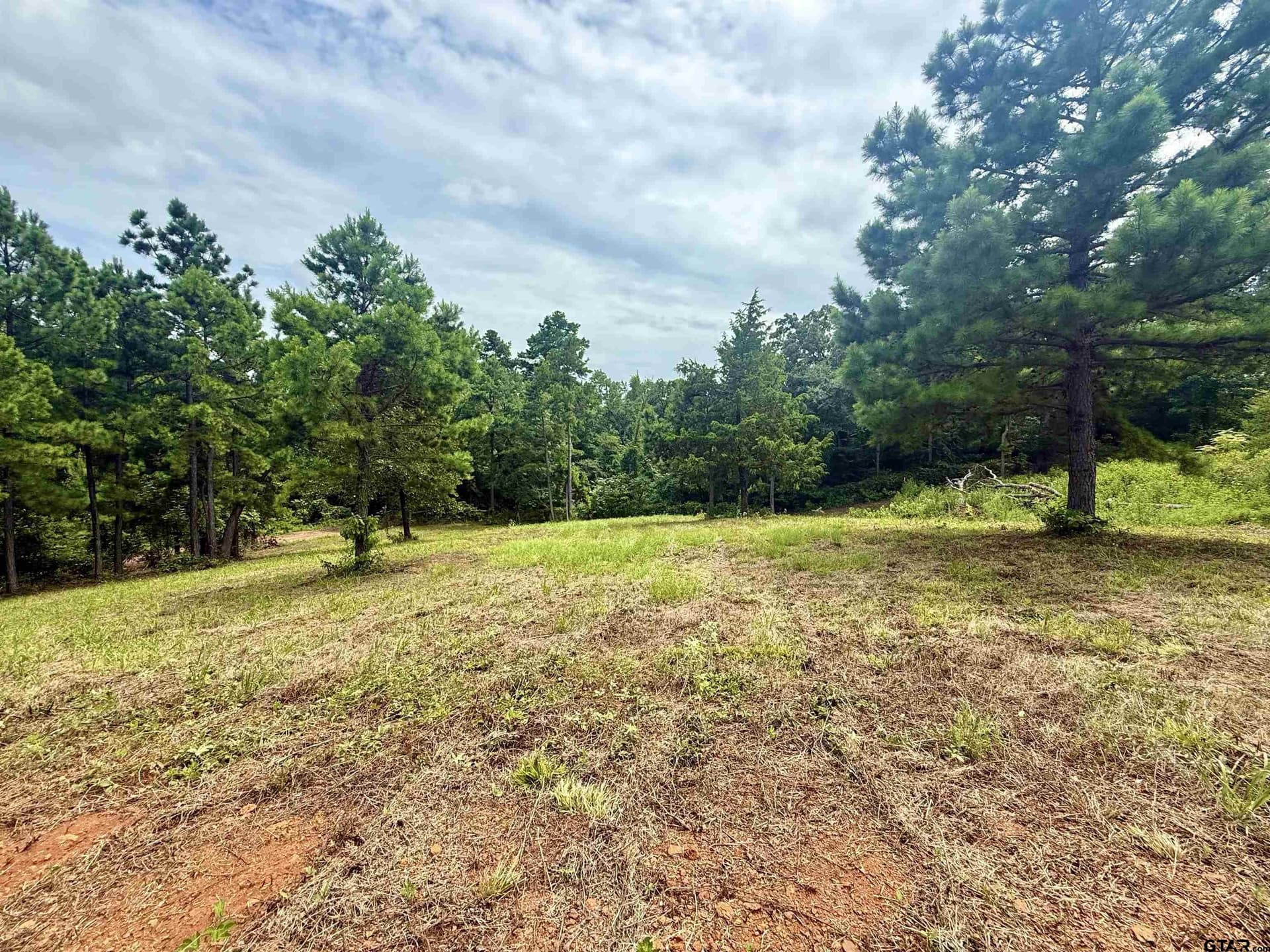 1.17 acres in Smith County - photo 5