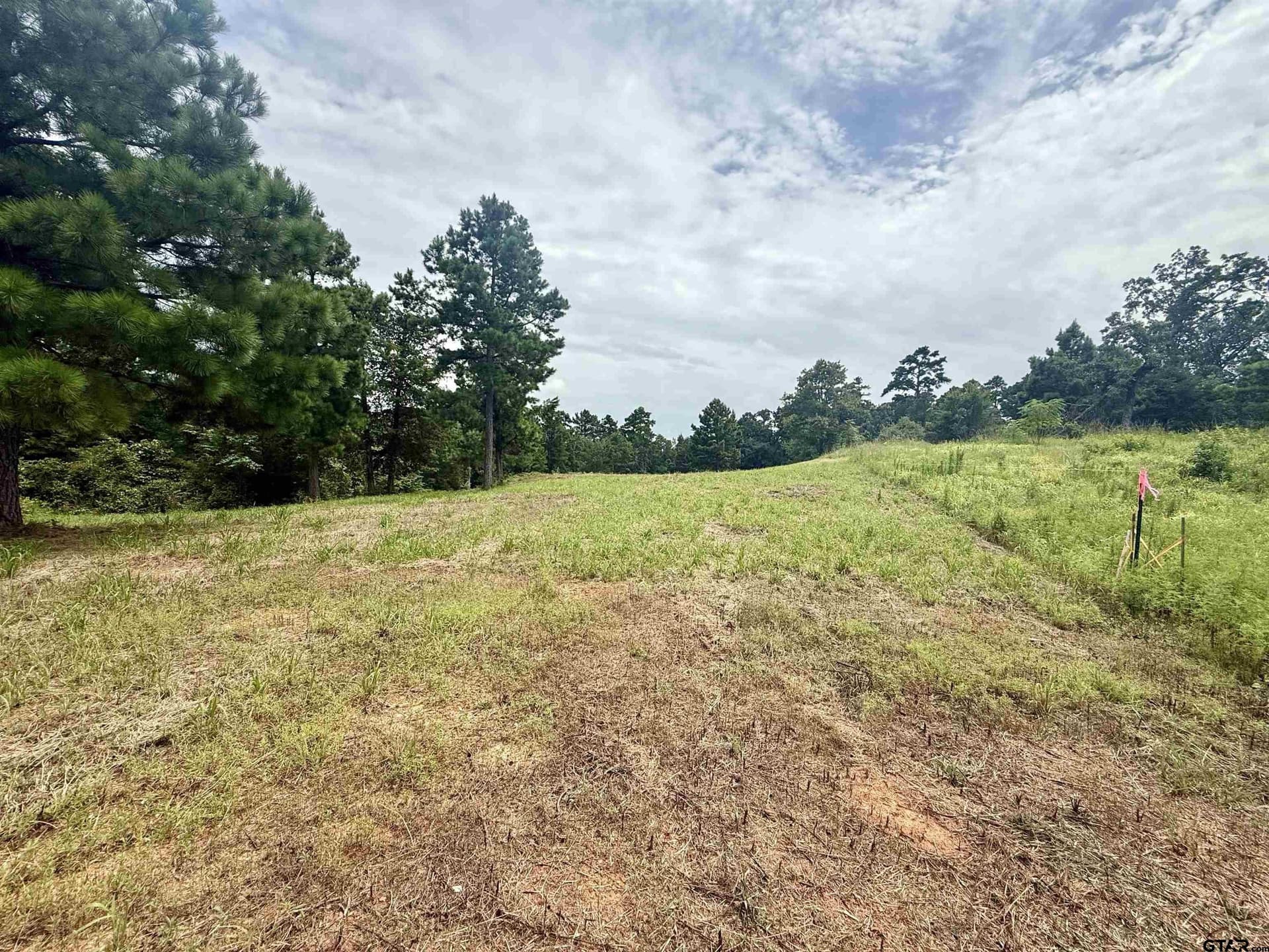 1.17 acres in Smith County - photo 8