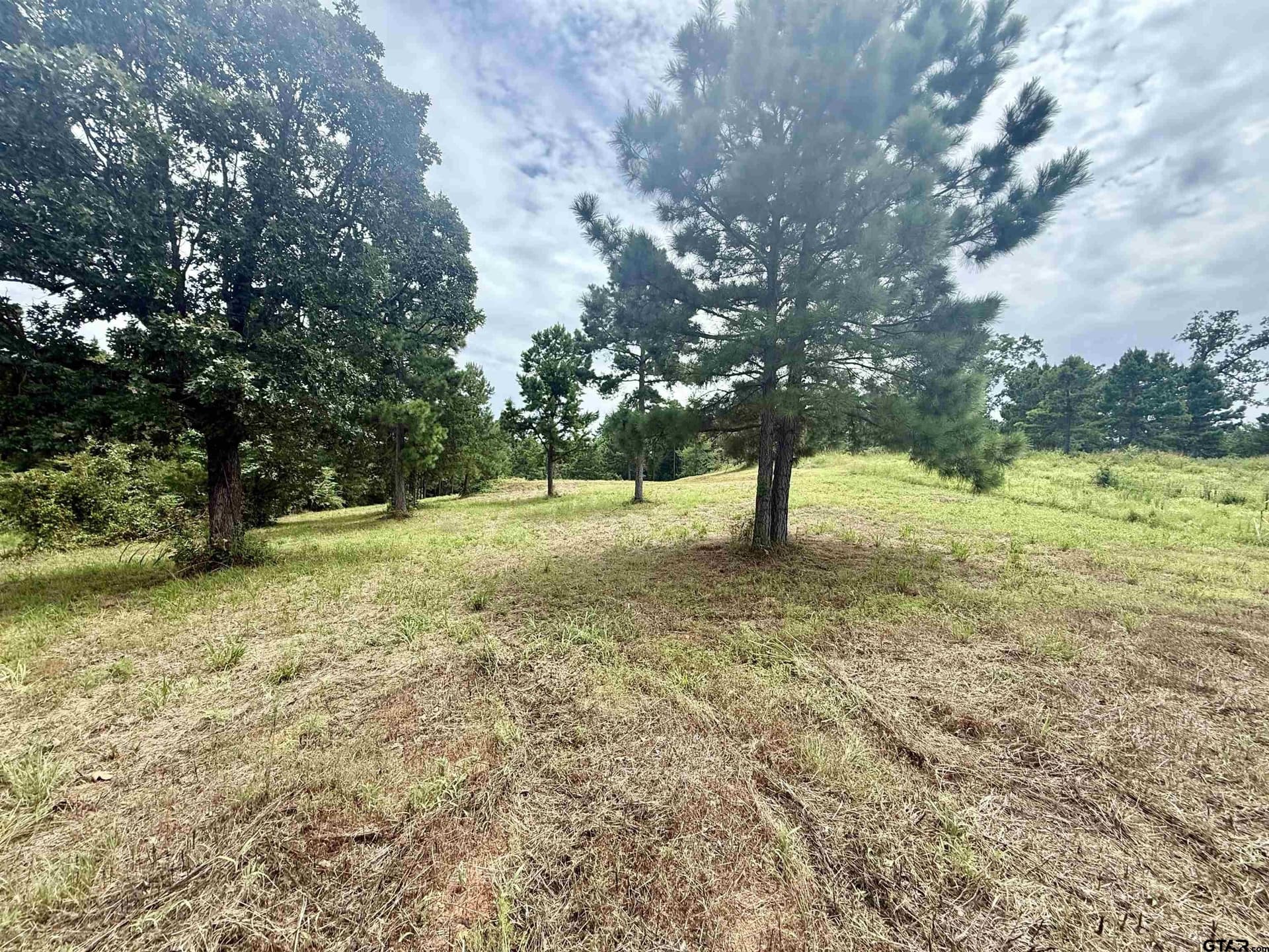 1.17 acres in Smith County - photo 7