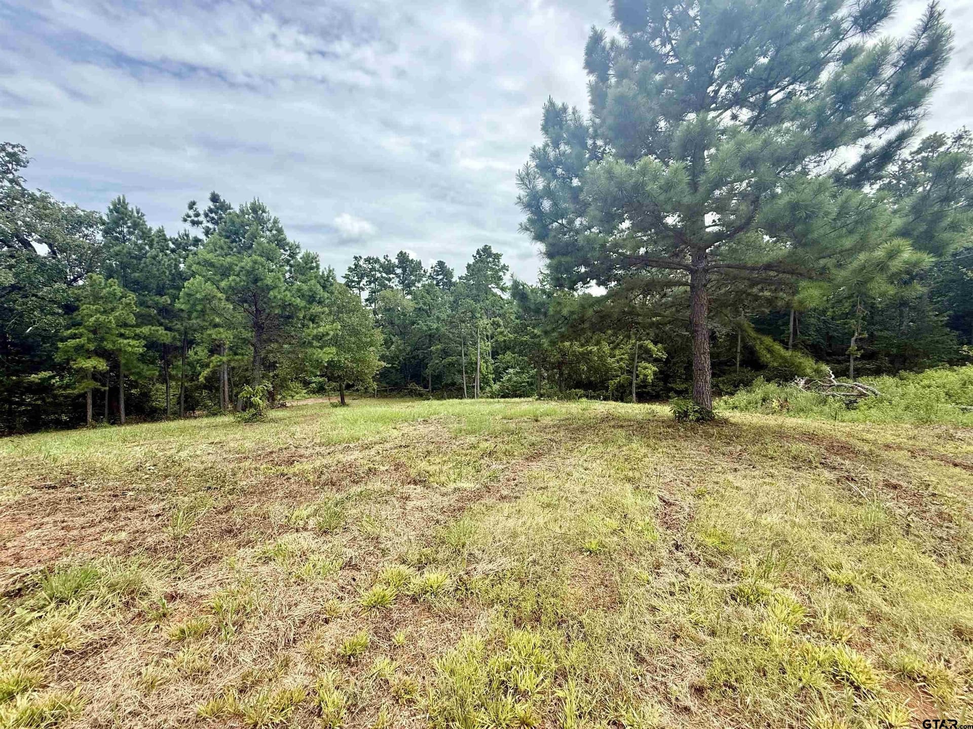 1.17 acres in Smith County - photo 6