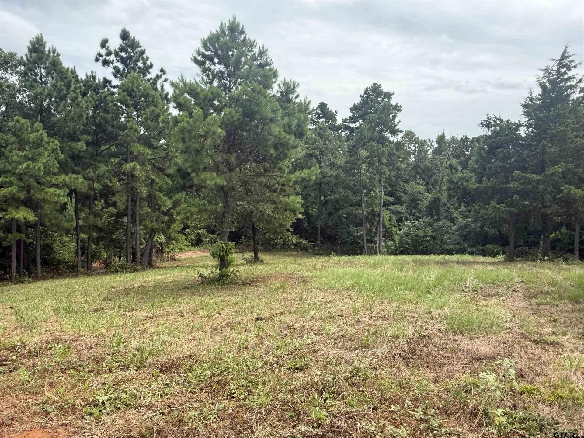 1.17 acres in Smith County - photo 12