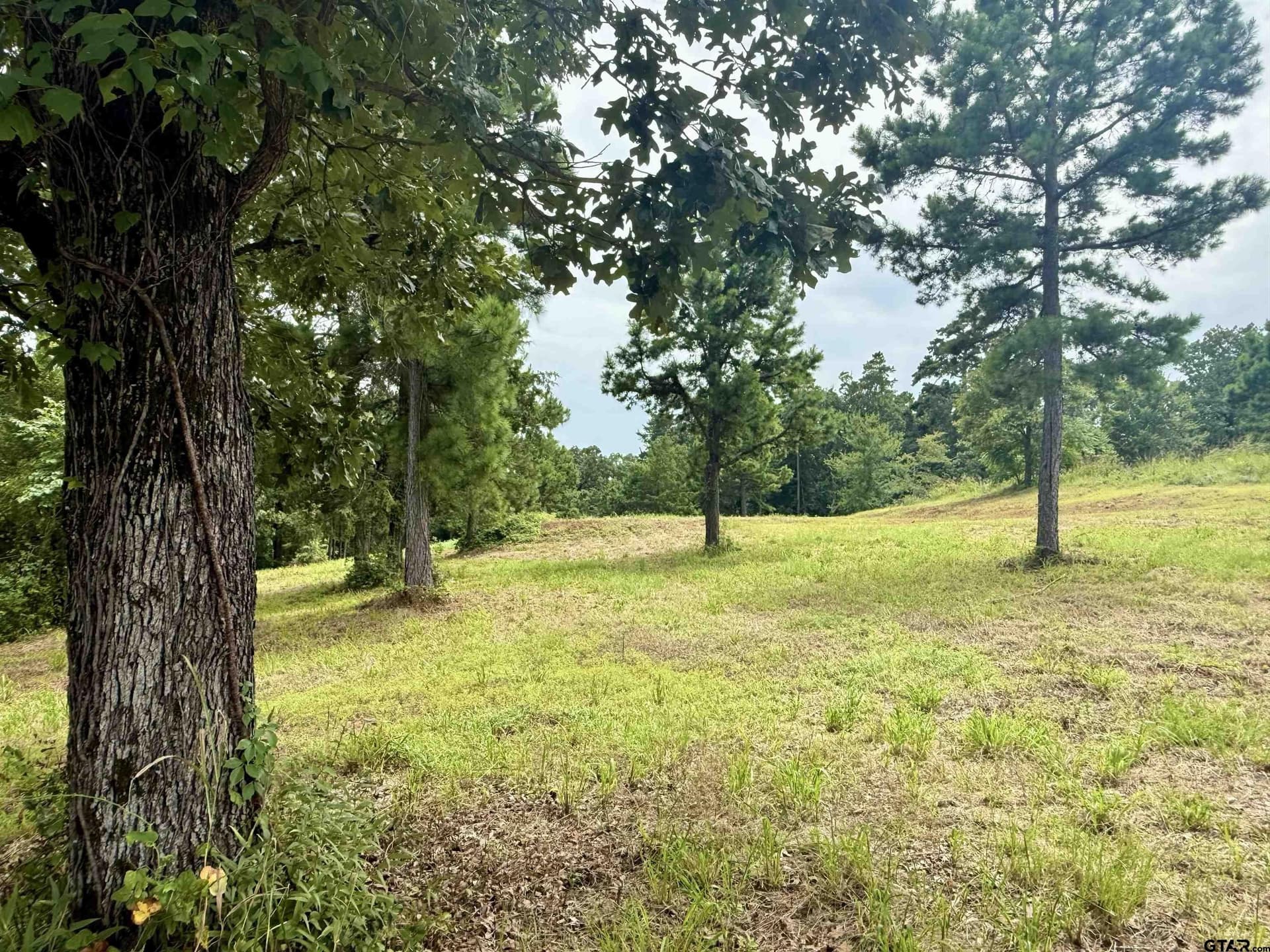 1.17 acres in Smith County - photo 9