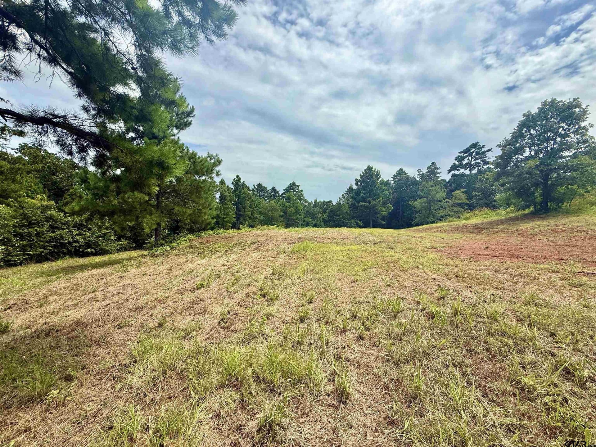 1.17 acres in Smith County - photo 4
