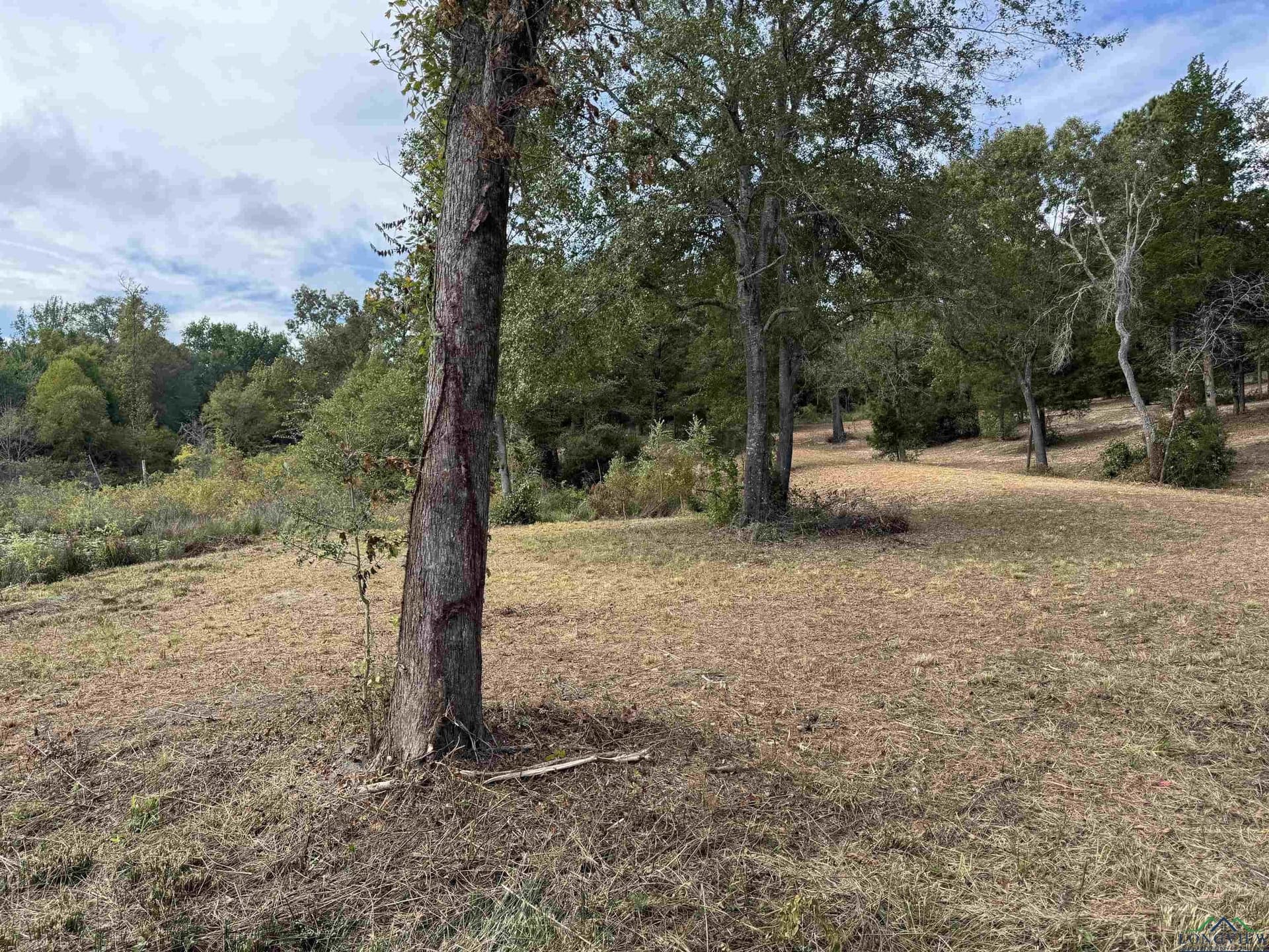 12.11 acres in Wood County - photo 19