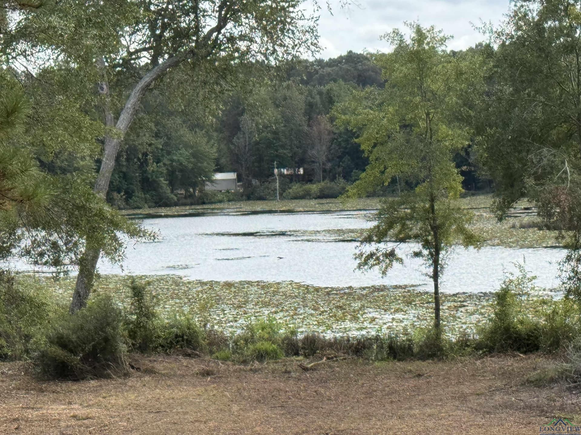 12.11 acres in Wood County - photo 14