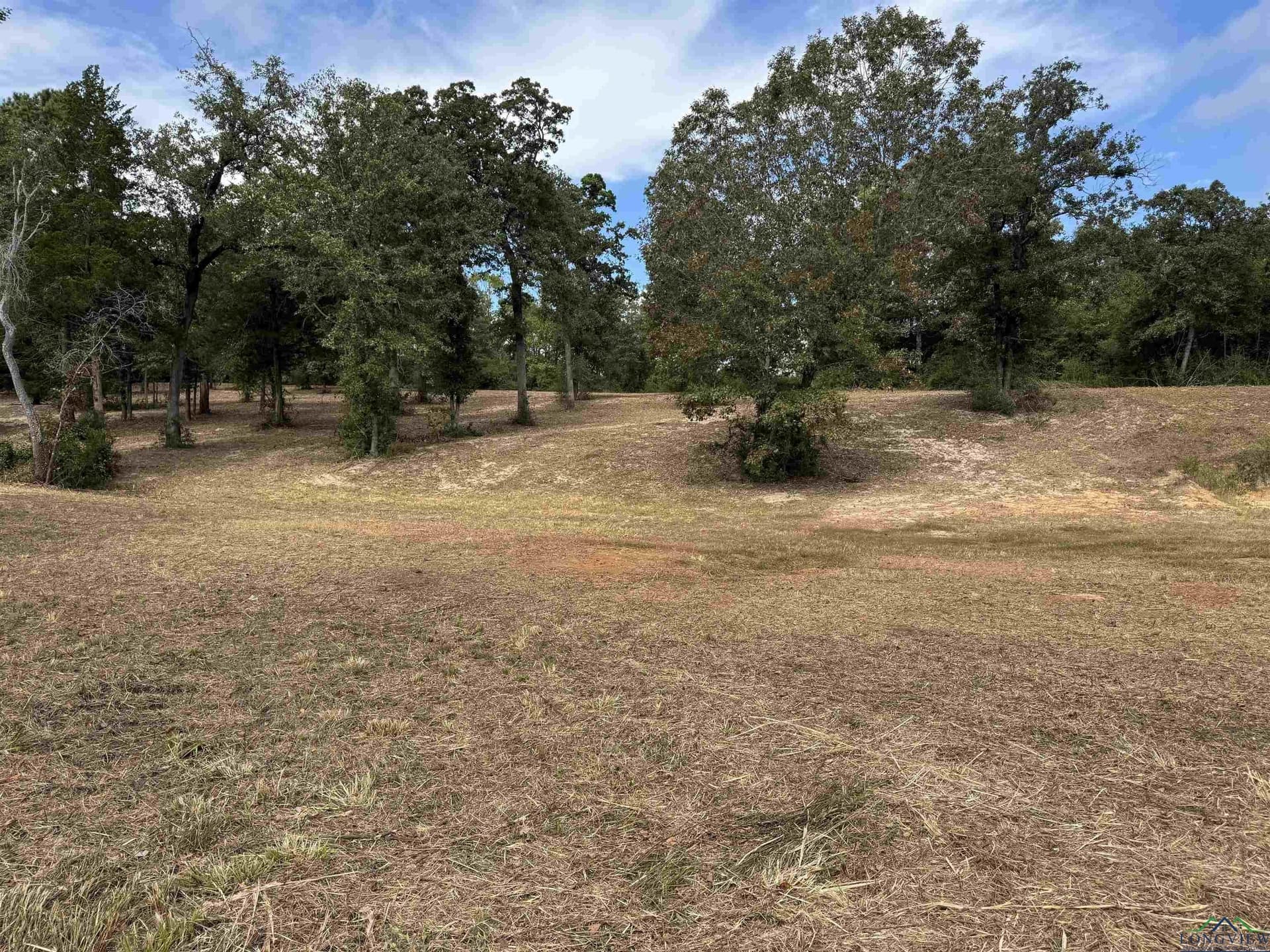 12.11 acres in Wood County - photo 13