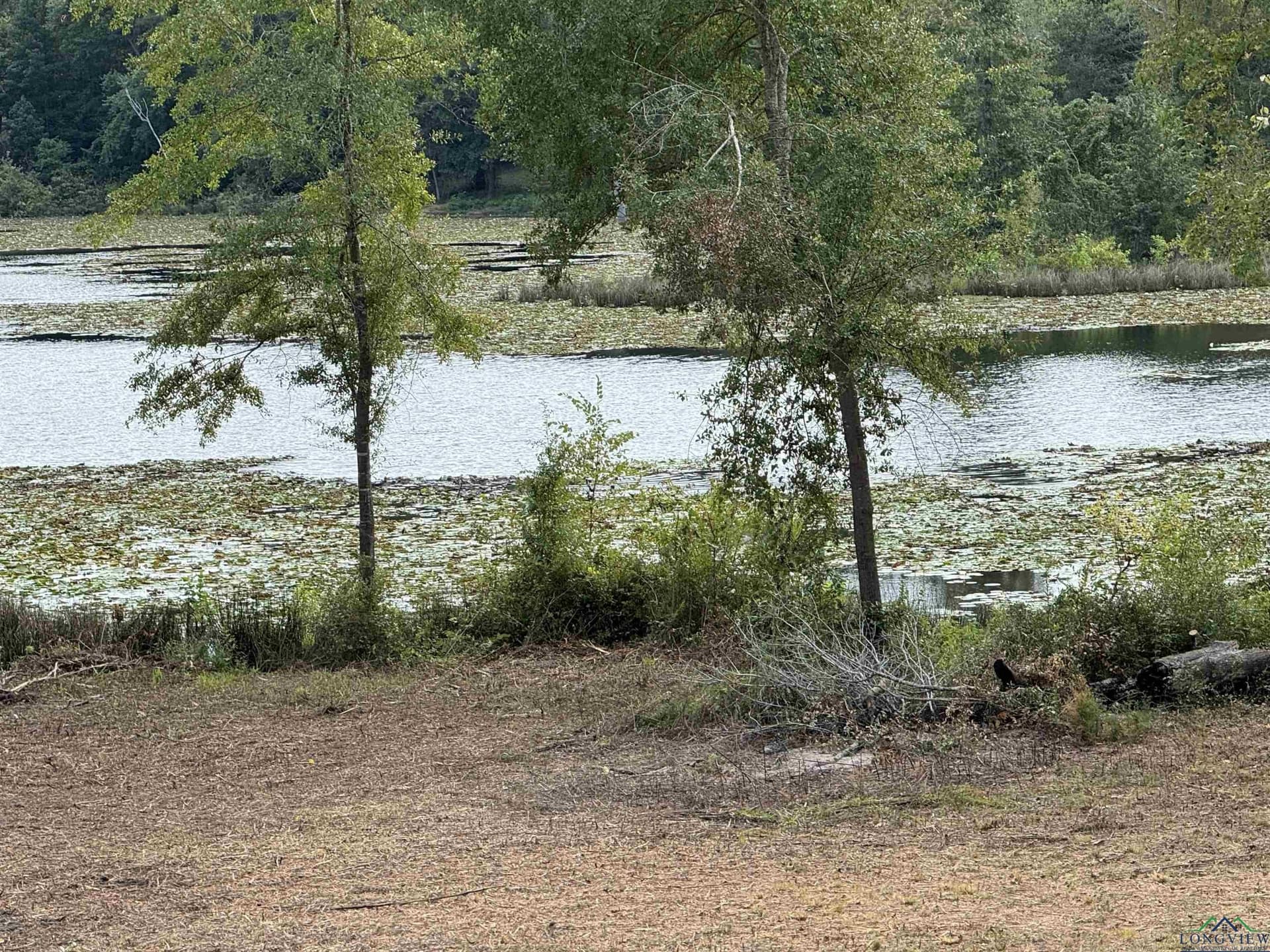 12.11 acres in Wood County - photo 15