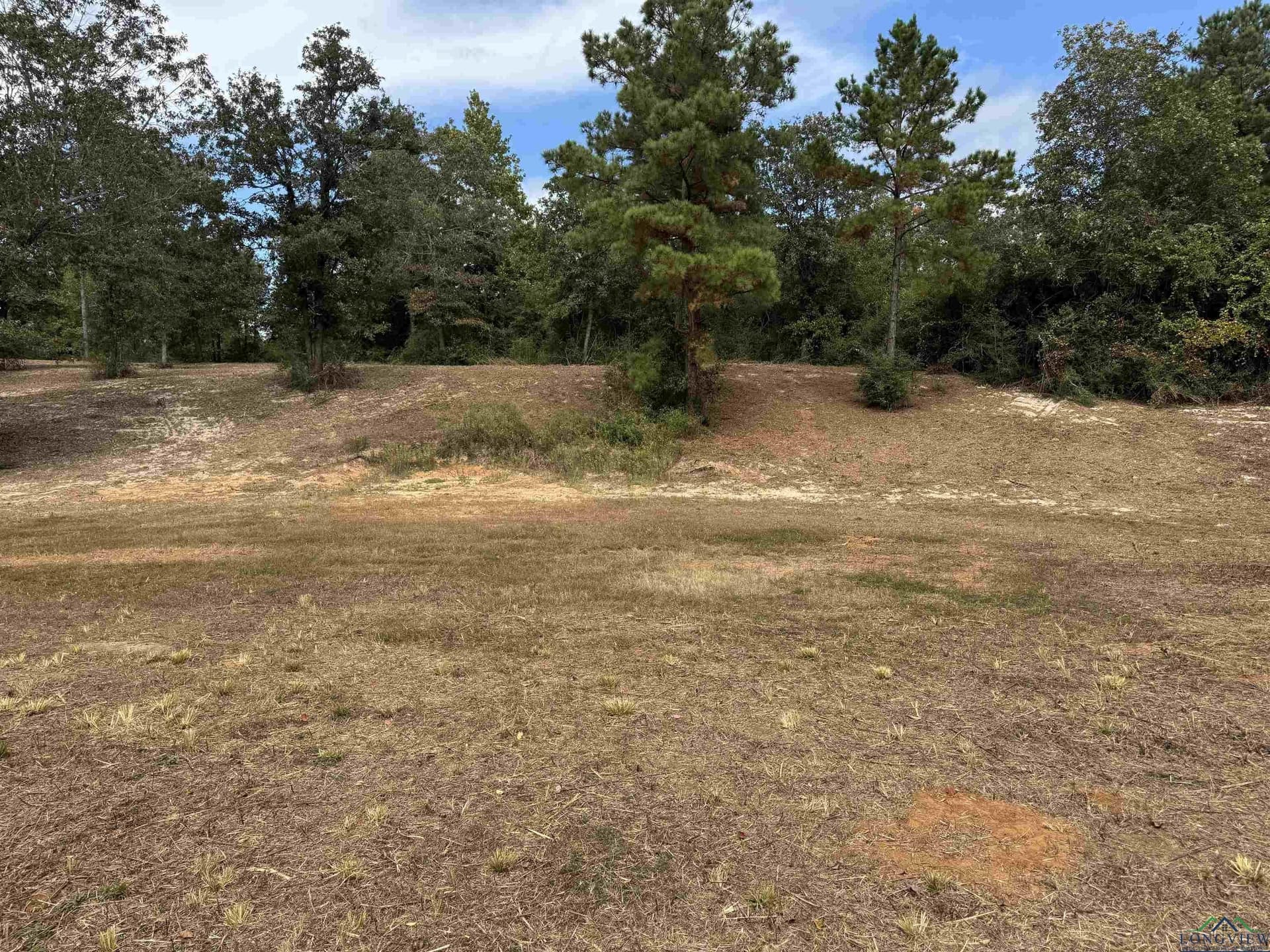 12.11 acres in Wood County - photo 16