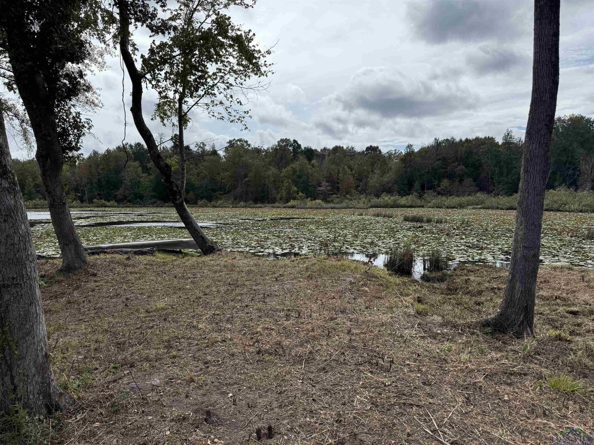 12.11 acres in Wood County - photo 20