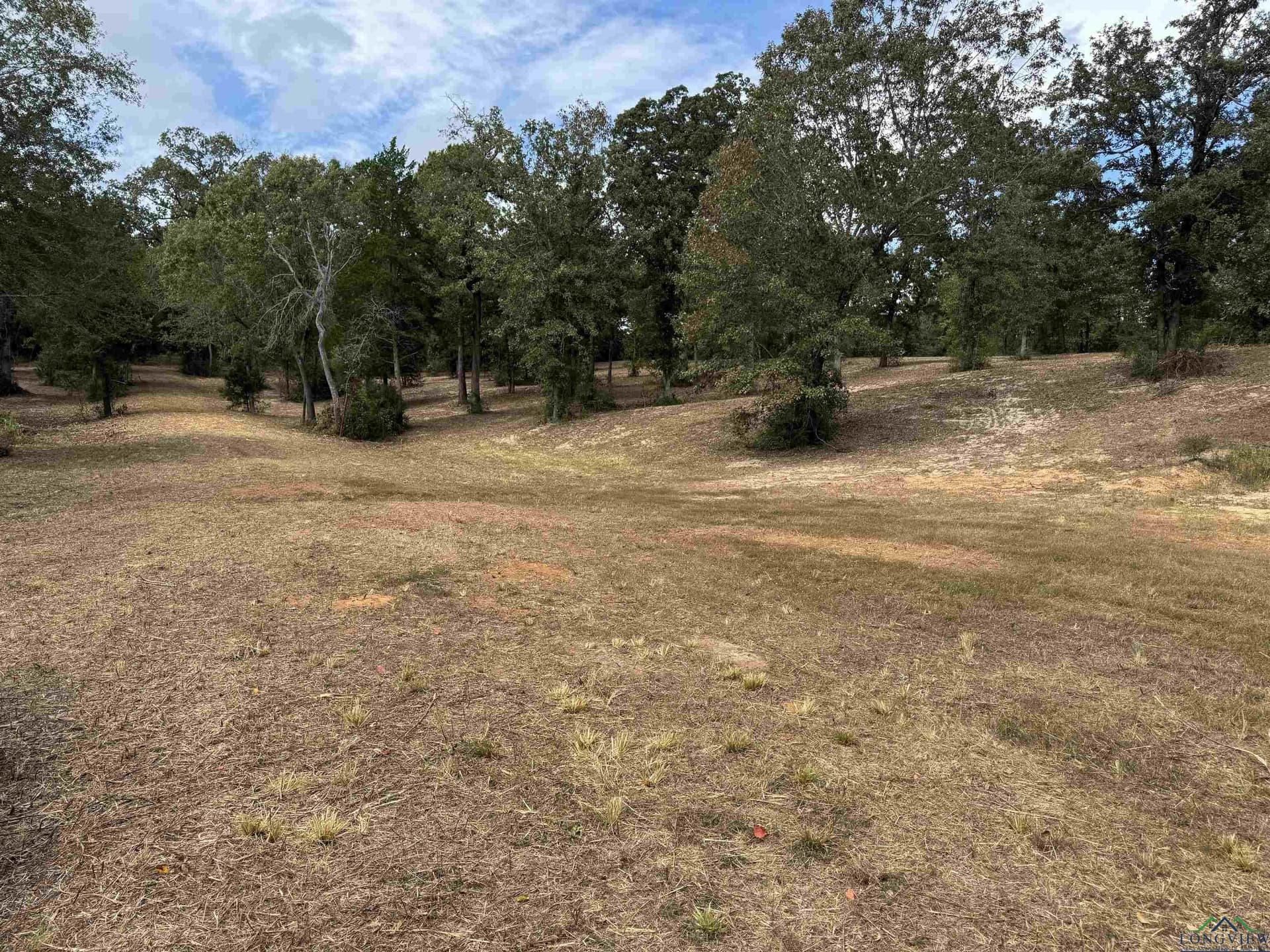 12.11 acres in Wood County - photo 17