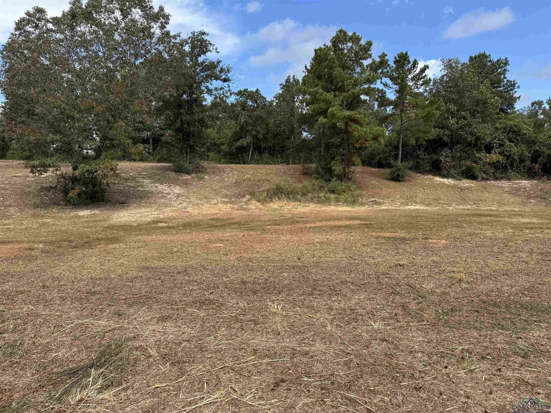 12.11 acres in Wood County - photo 12