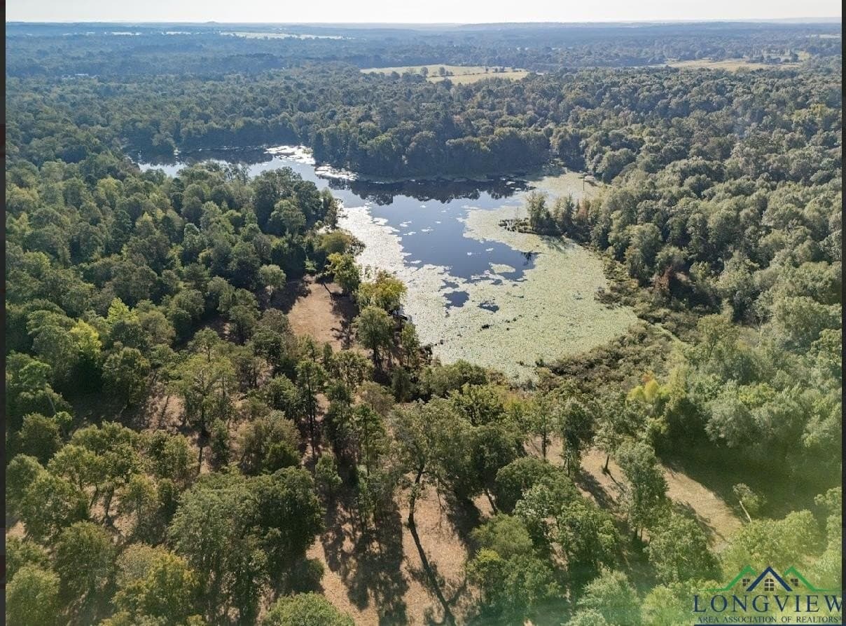 12.11 acres in Wood County - photo 11