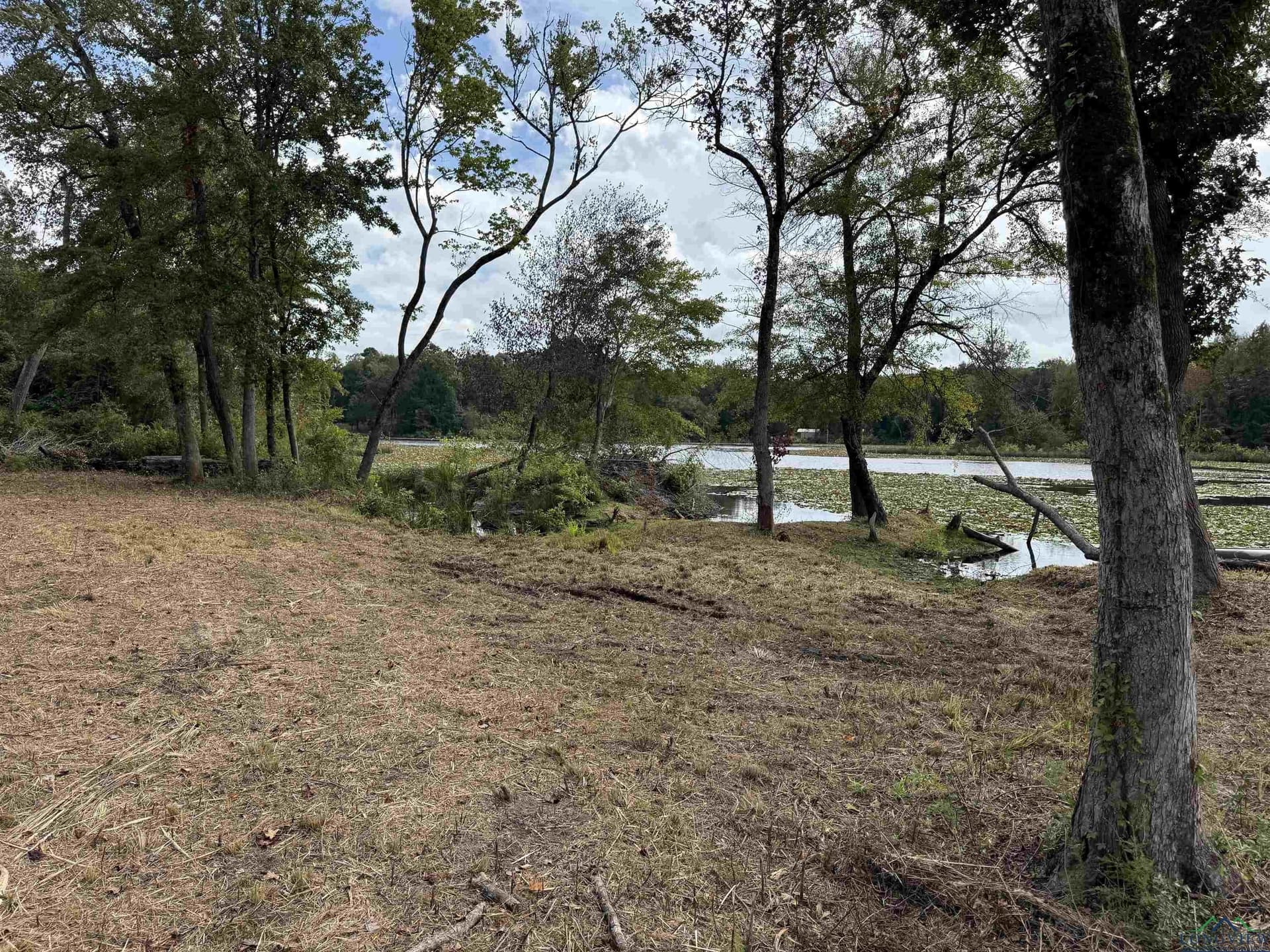 12.11 acres in Wood County - photo 18
