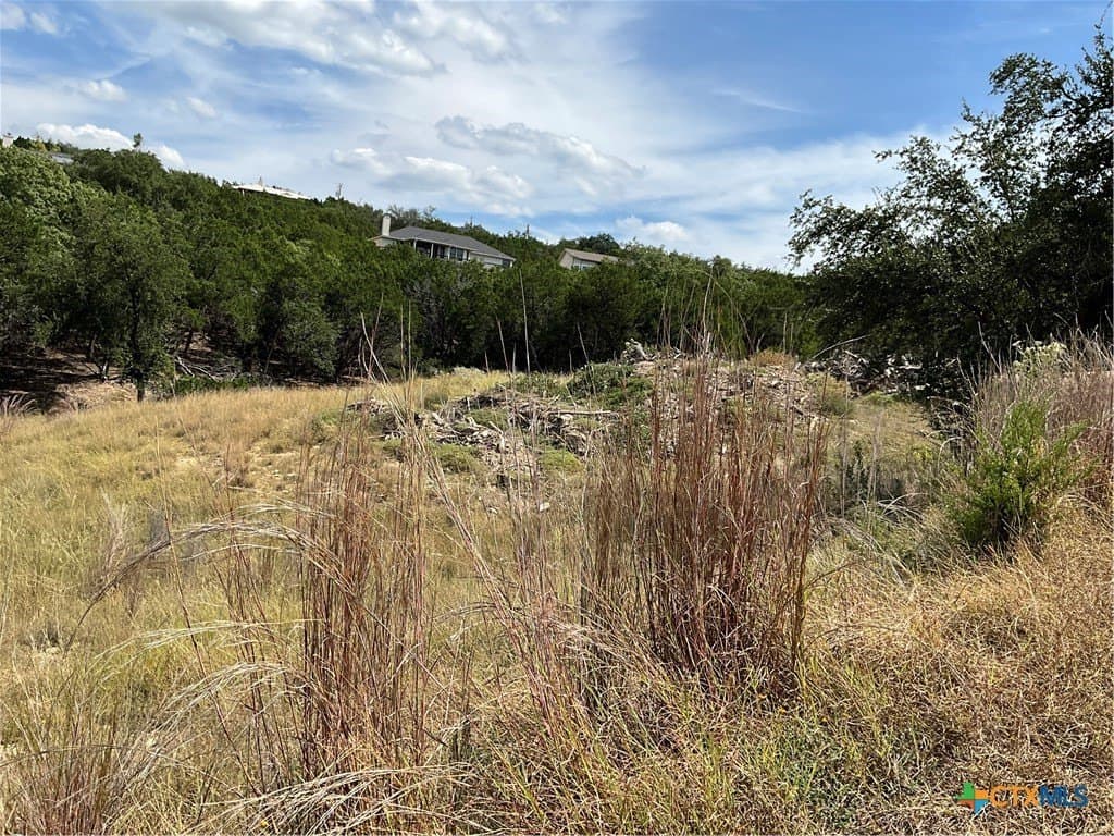 0.3 acres in Travis County - photo 8