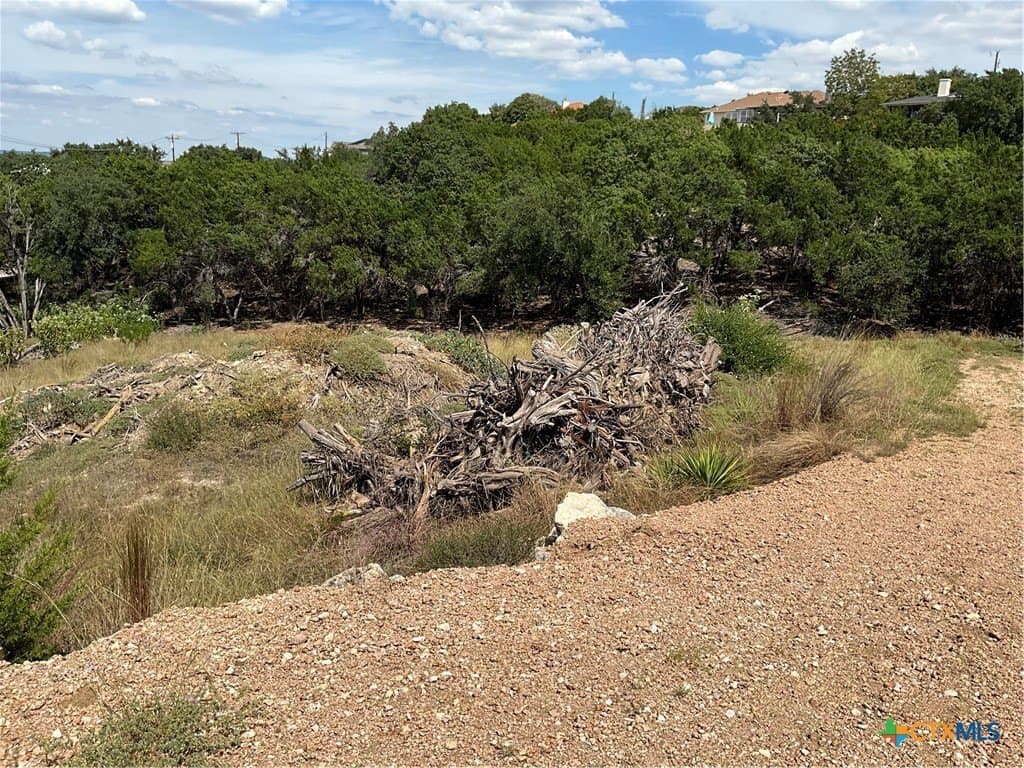 0.3 acres in Travis County - photo 4