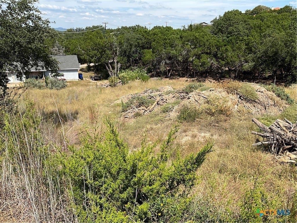0.3 acres in Travis County - photo 5