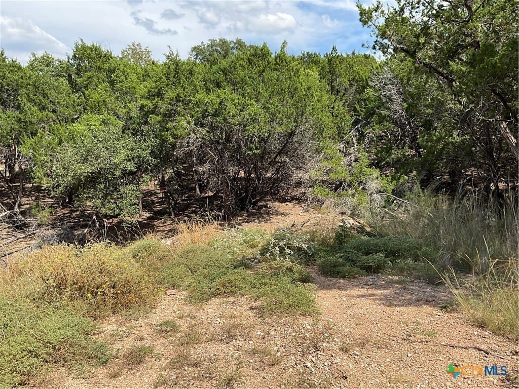0.3 acres in Travis County - photo 14