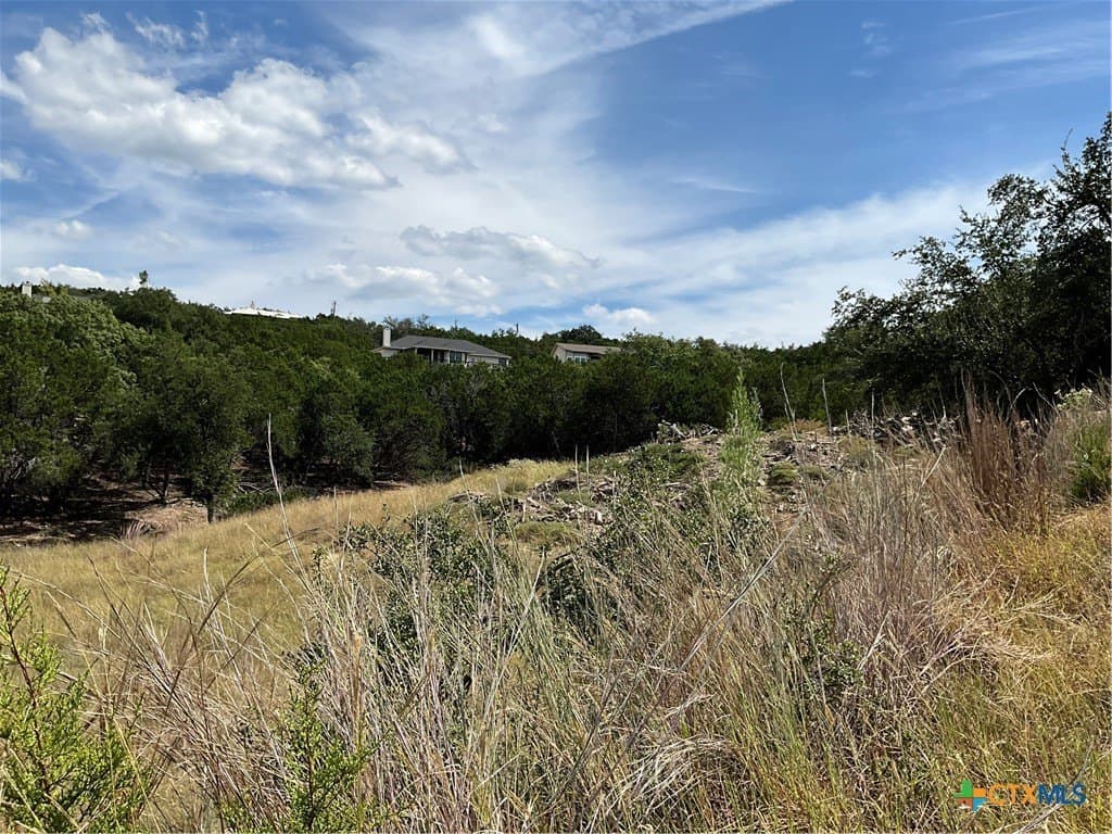 0.3 acres in Travis County - photo 6