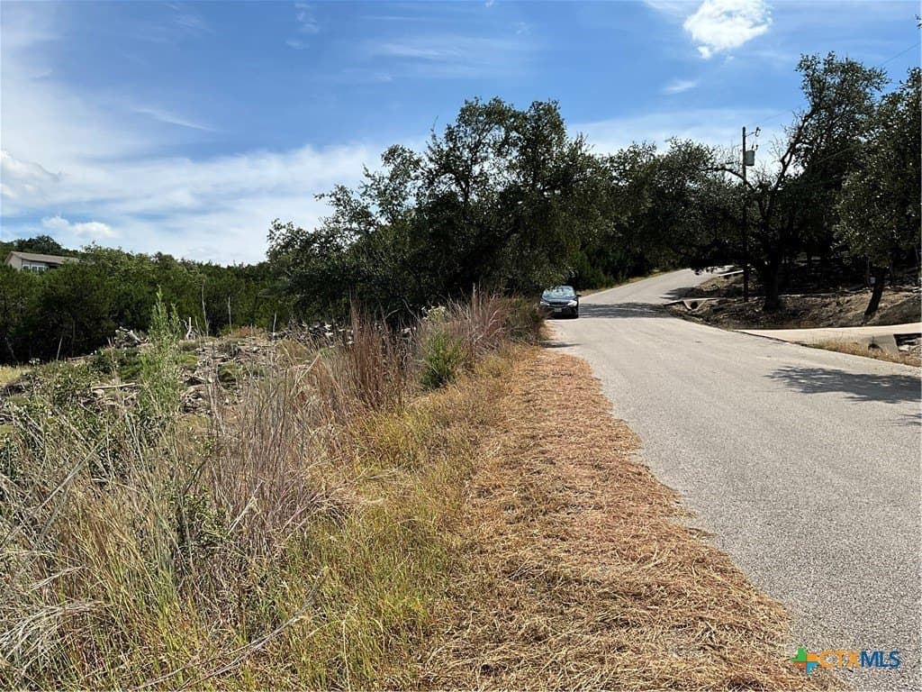 0.3 acres in Travis County - photo 7