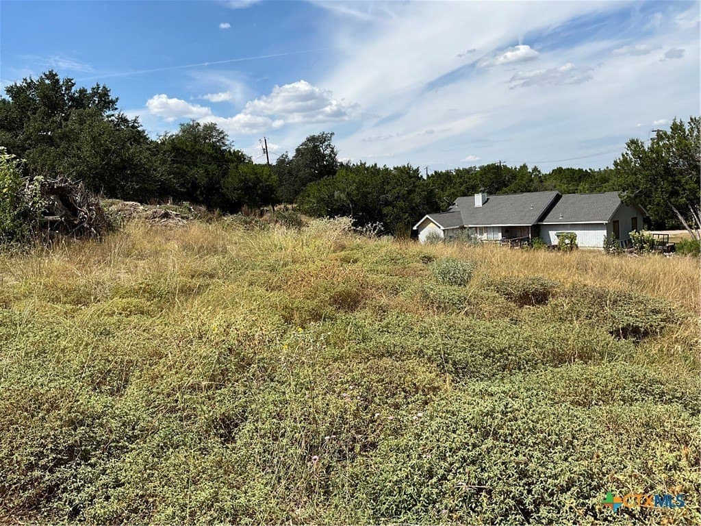 0.3 acres in Travis County - photo 12