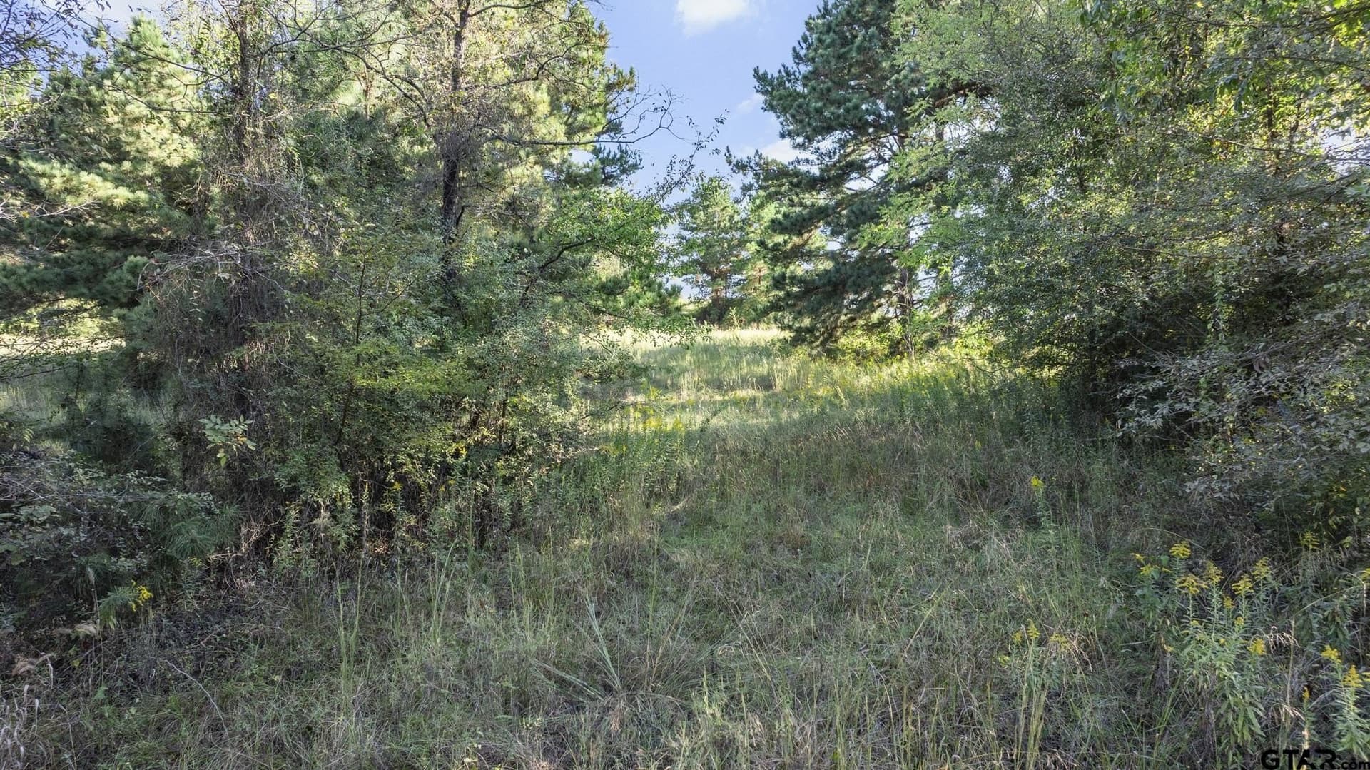 2.11 acres in Smith County - photo 14
