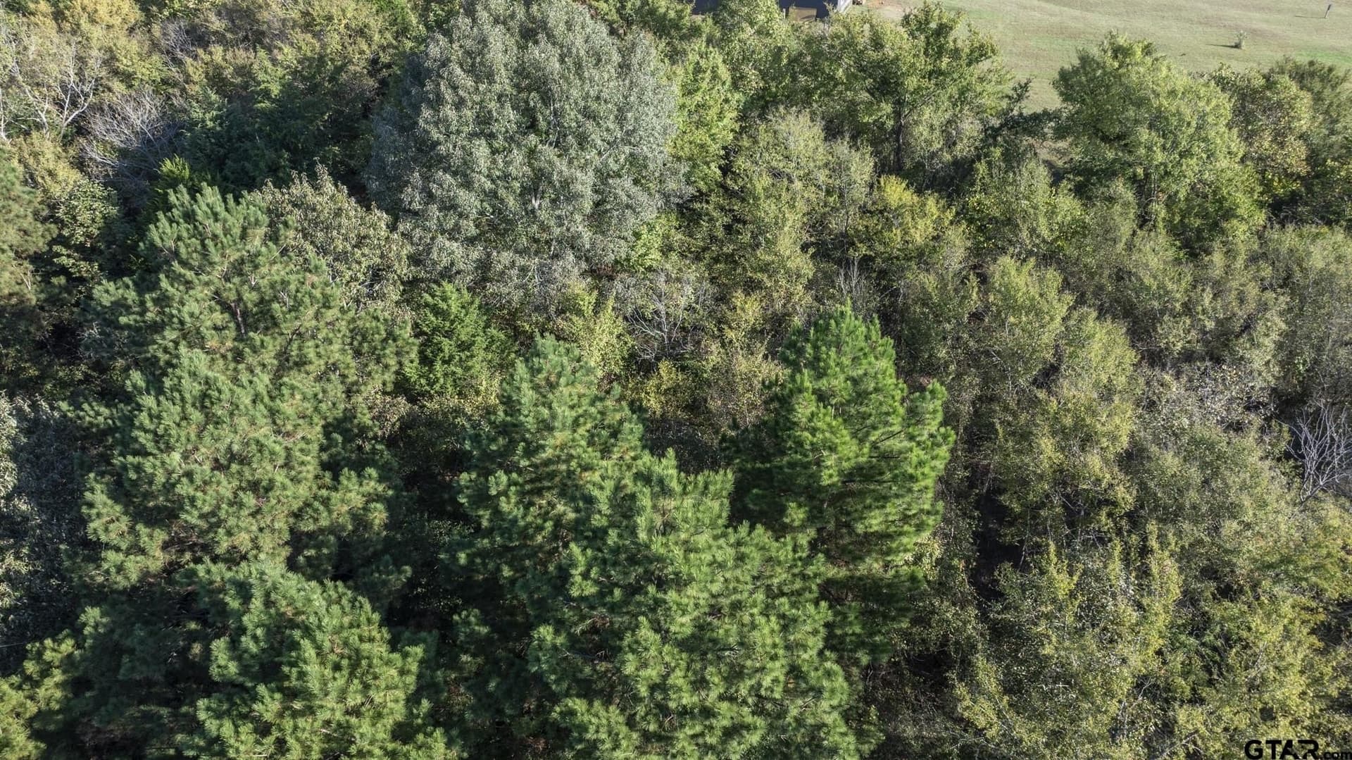 2.11 acres in Smith County - photo 15