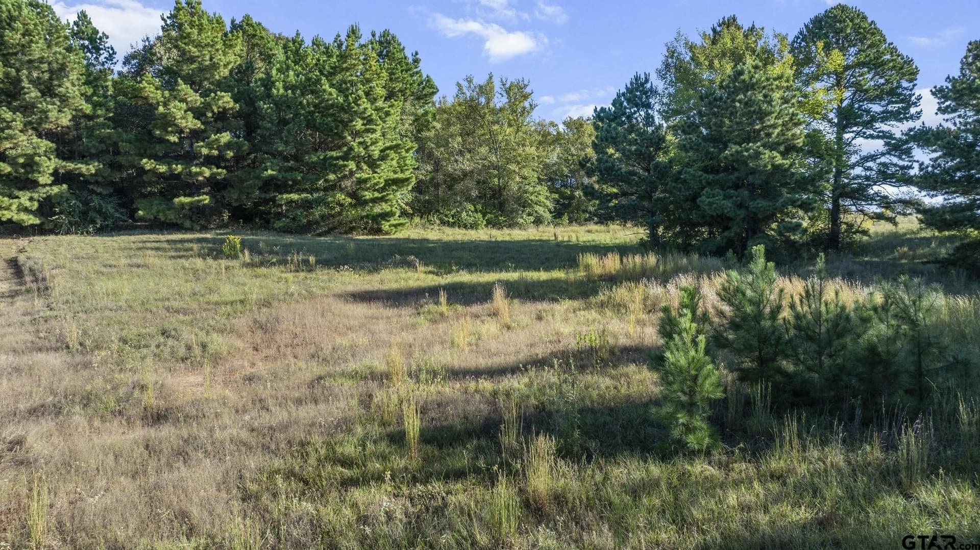 2.11 acres in Smith County - photo 7
