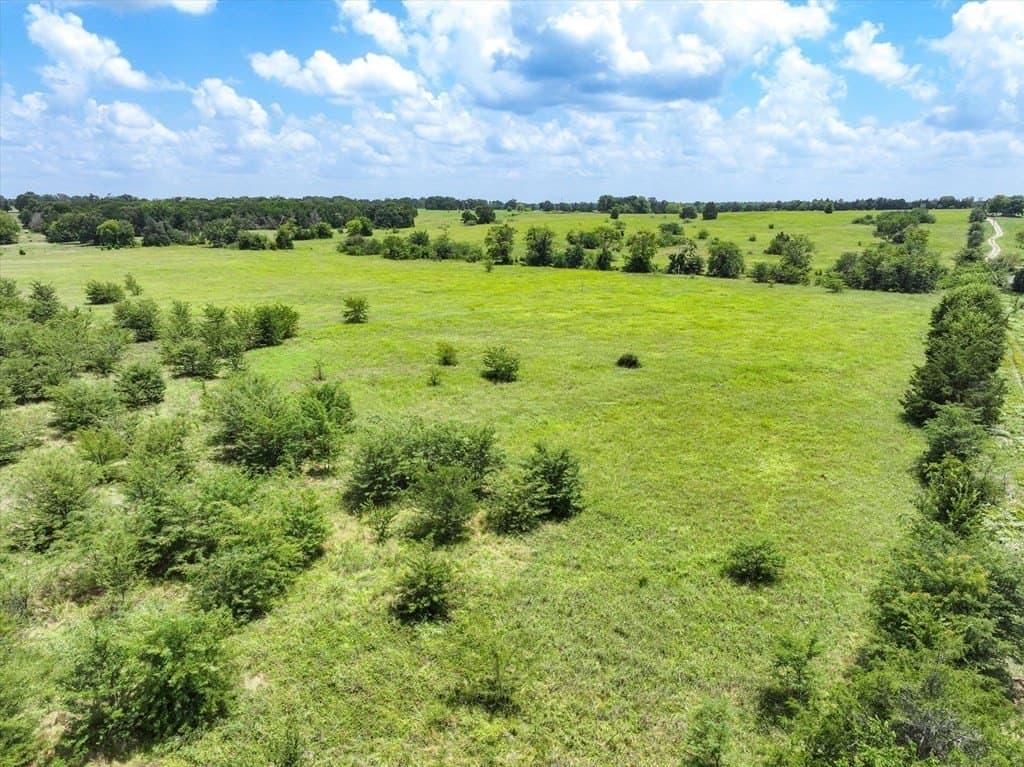 57 acres in Van Zandt County - photo 3