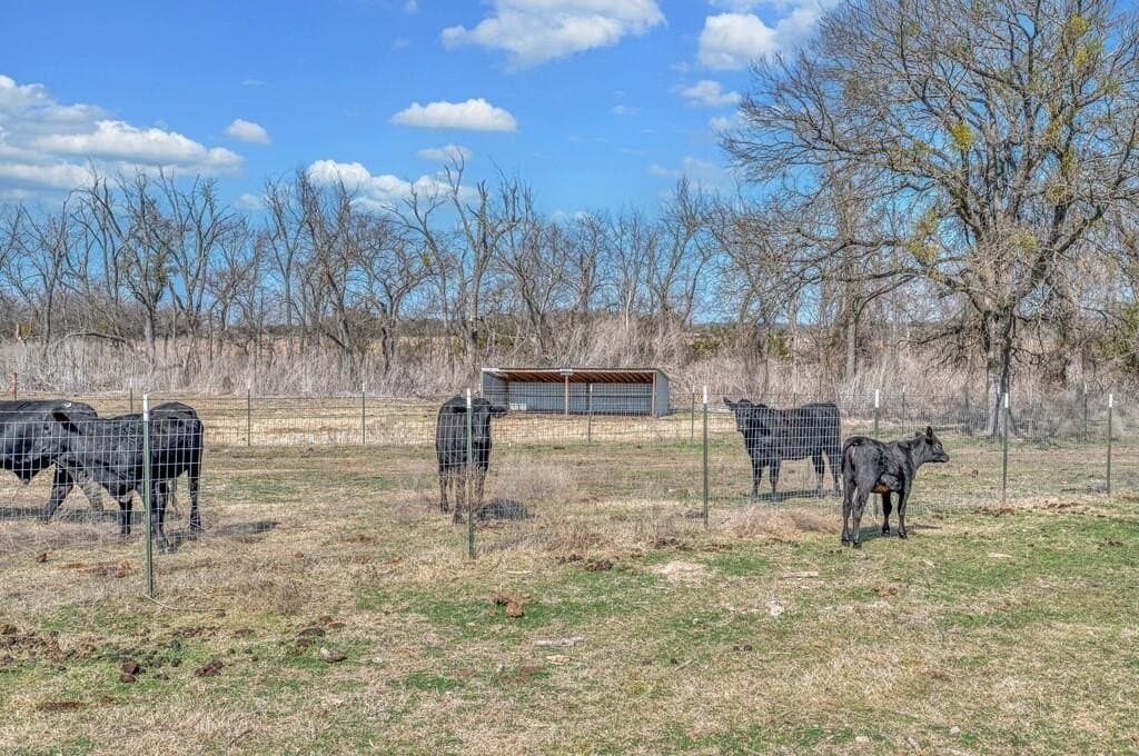 115.63 acres in Bosque County - photo 21