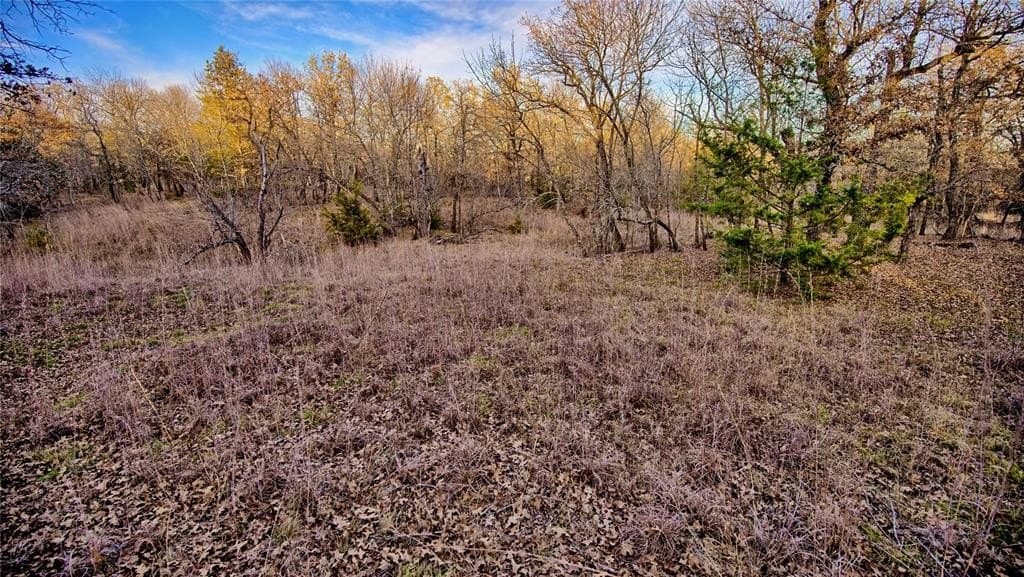 5 acres in Montague County - photo 11