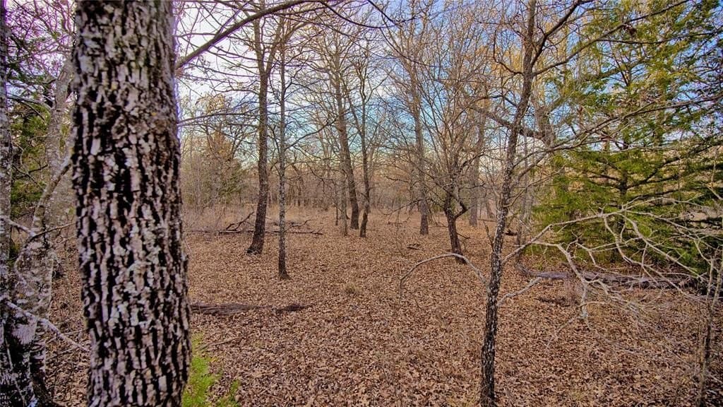 5 acres in Montague County - photo 5