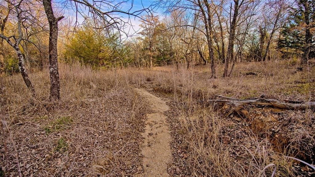 5 acres in Montague County - photo 7