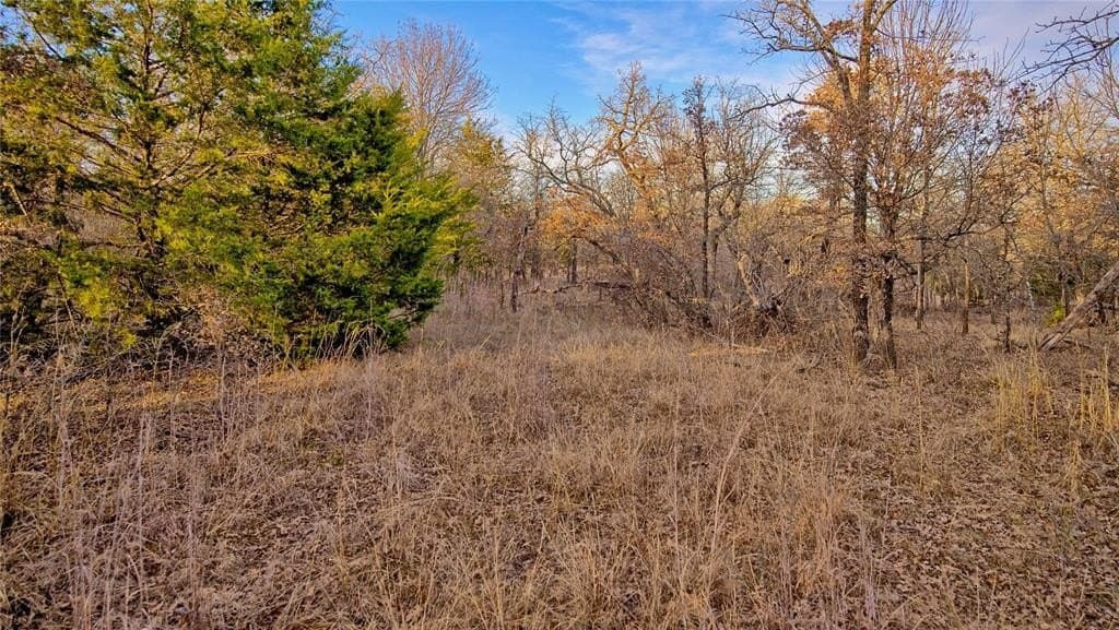 5 acres in Montague County - photo 3