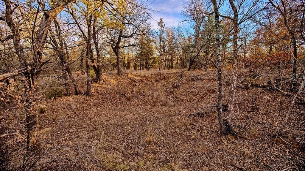 5 acres in Montague County - photo 6