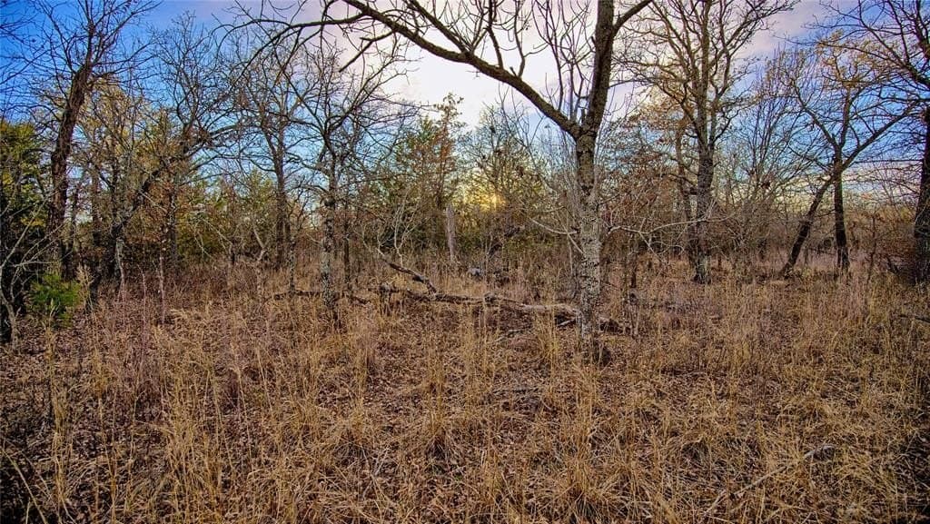 5 acres in Montague County - photo 12