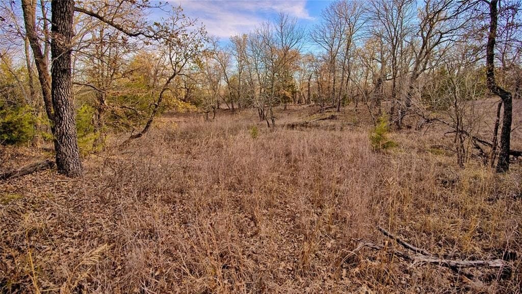 5 acres in Montague County - photo 16