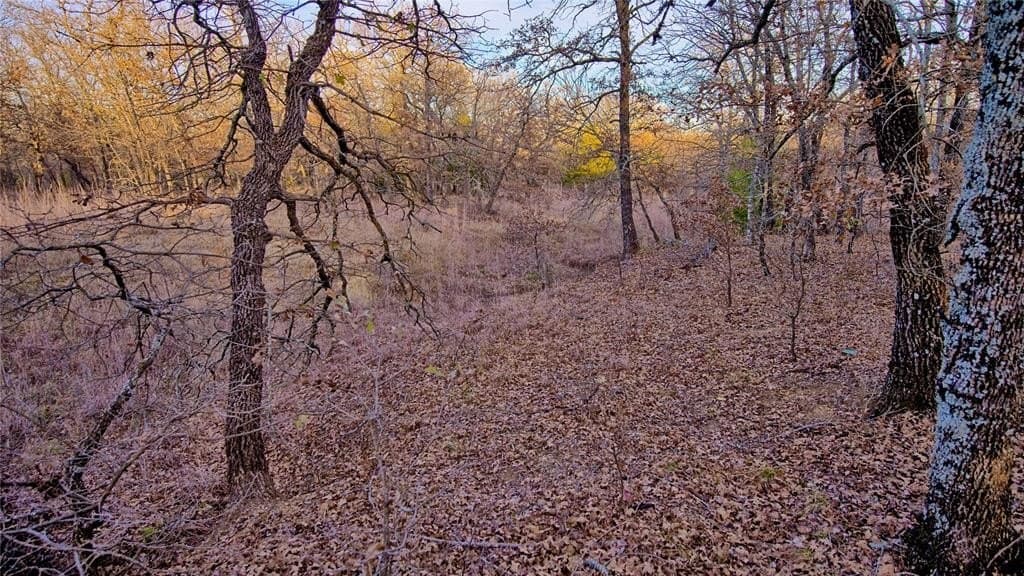 5 acres in Montague County - photo 8