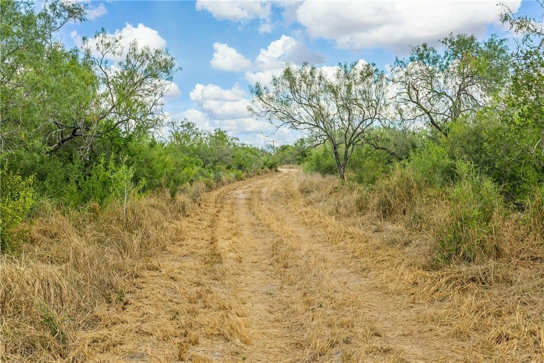 124.21 acres in Jim Wells County - photo 5