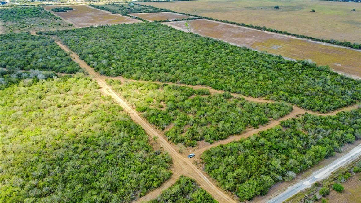 124.21 acres in Jim Wells County - photo 4