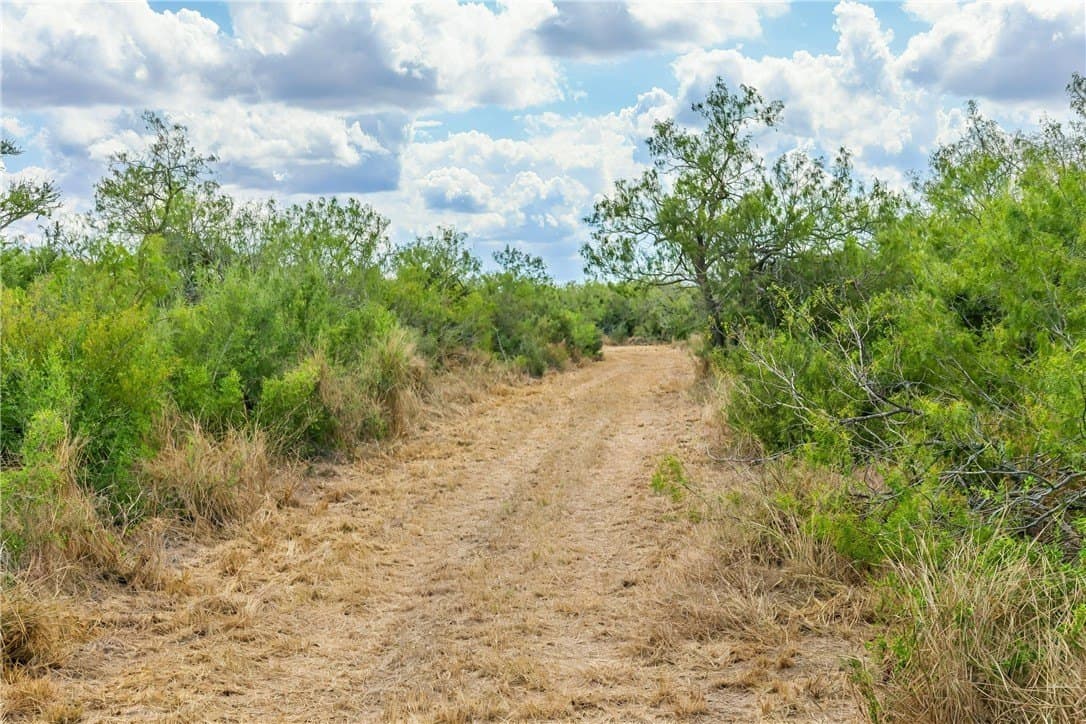124.21 acres in Jim Wells County - photo 2