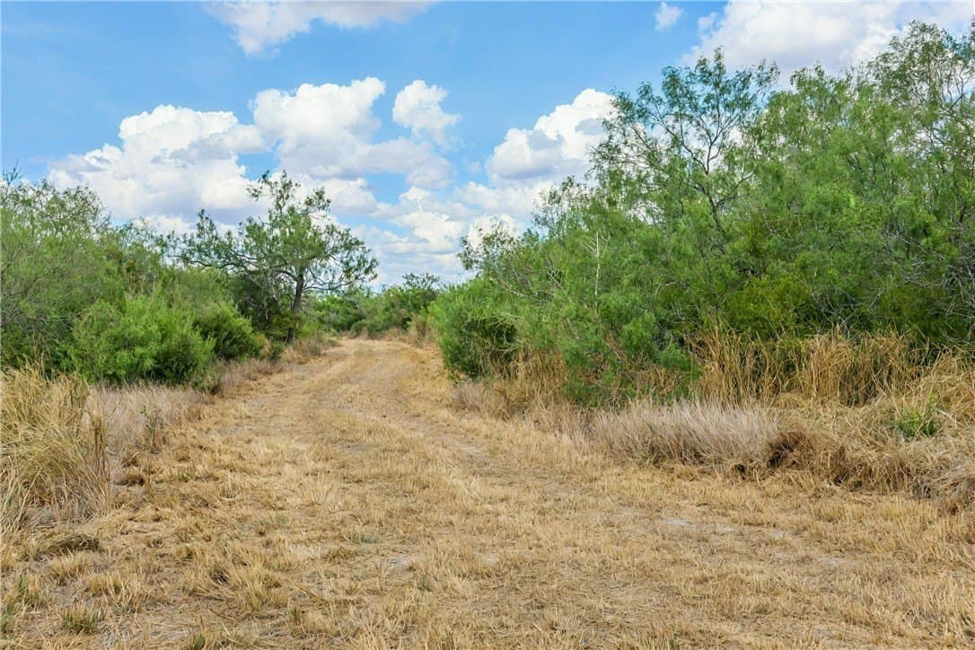 124.21 acres in Jim Wells County - photo 3