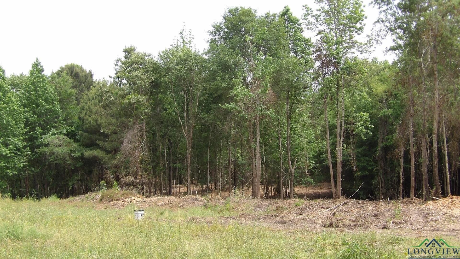 13 acres in Harrison County - photo 2