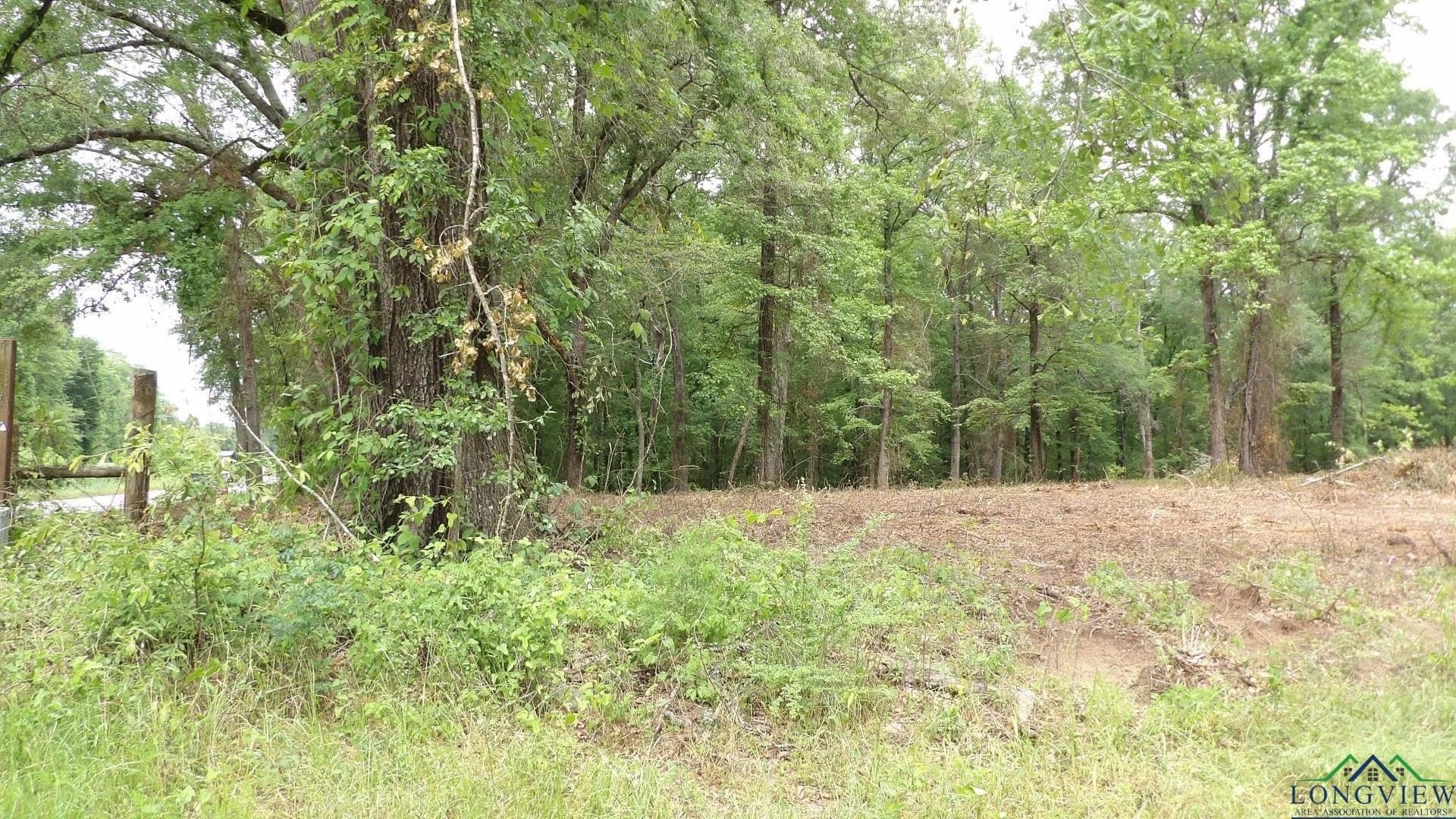 13 acres in Harrison County - photo 5