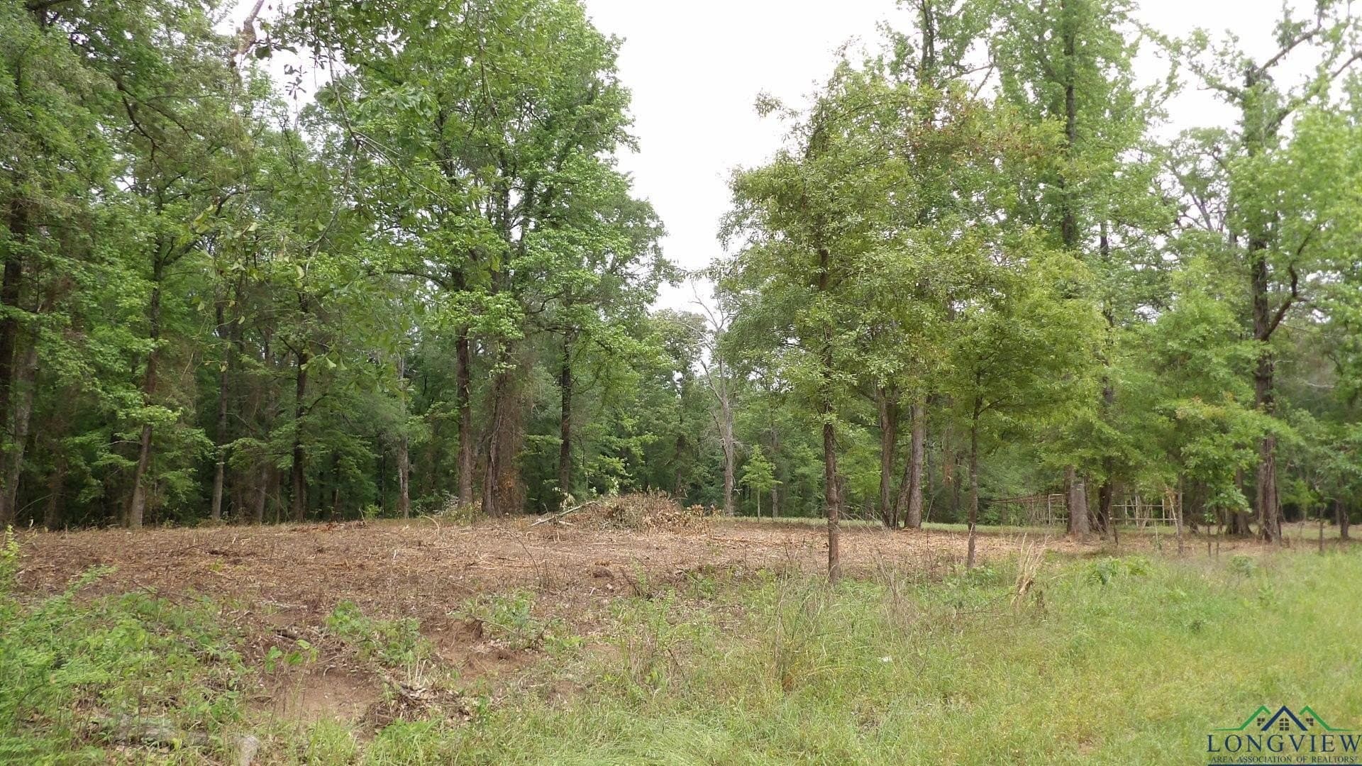 13 acres in Harrison County - photo 6