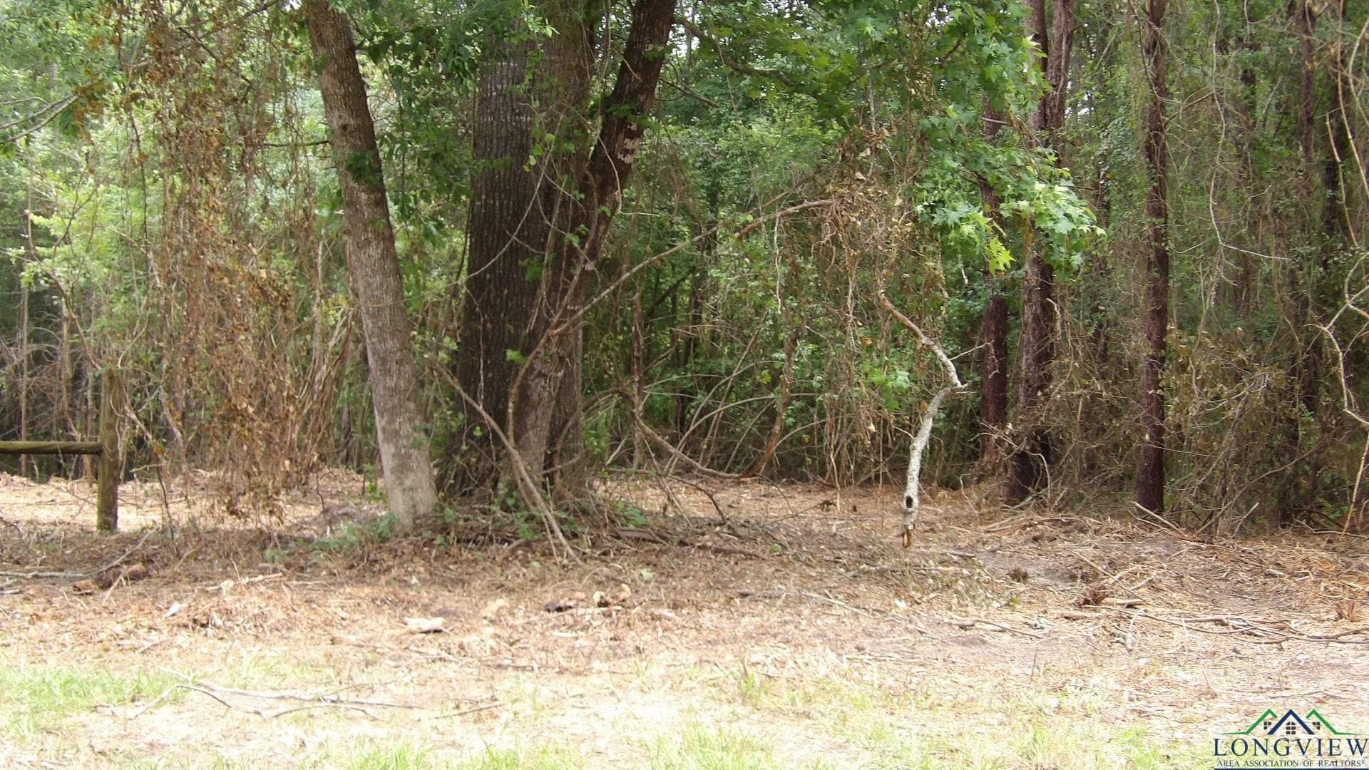 13 acres in Harrison County - photo 4